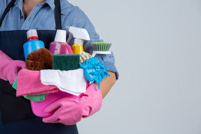 Dignificar el trabajo domestico es imperativo.